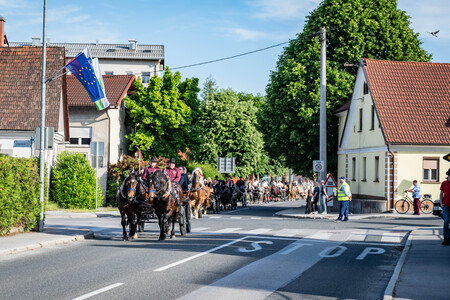 Občinski praznik 30 let (74)